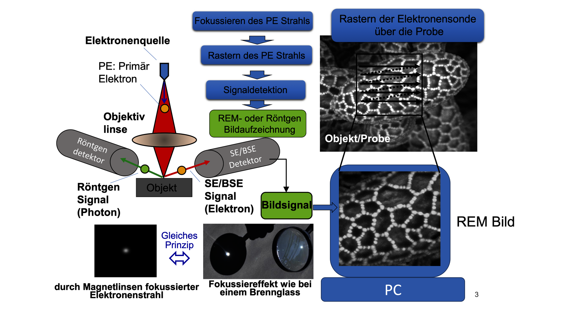 Schema eines Rasterelektronenmikroskops. Links sind Elektronenquelle, Objektivlinse und Objekt gezeigt. Von dort gehen Pfeile zu einem Röntgendetektor und einem SE/BSE-Detektor. Daneben ist ein Prozessdiagramm gezeigt, mit Beschriftung 